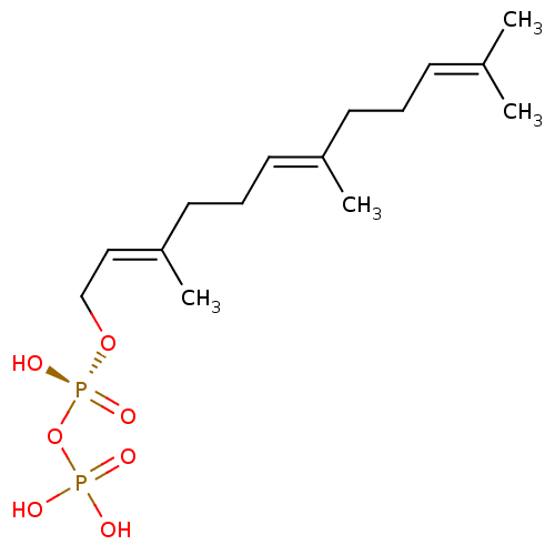 PNG