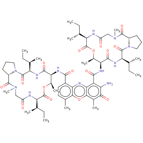 PNG