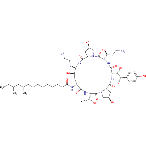 PNG