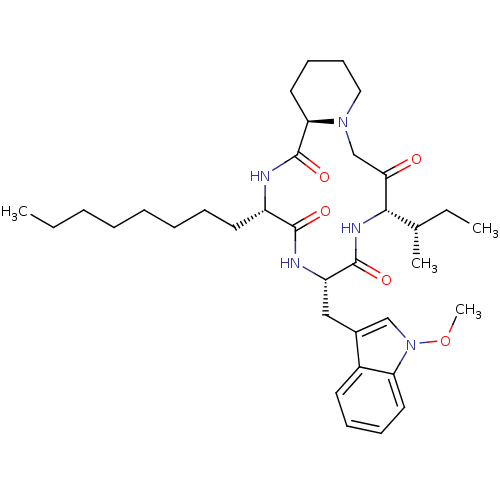 PNG