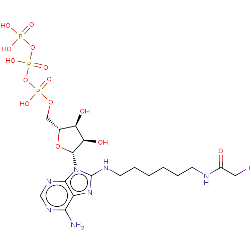 PNG