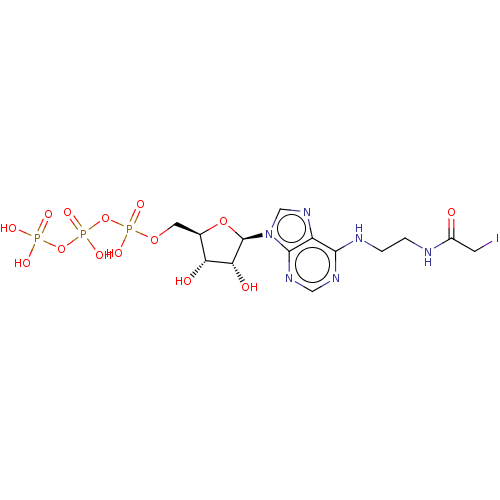 PNG