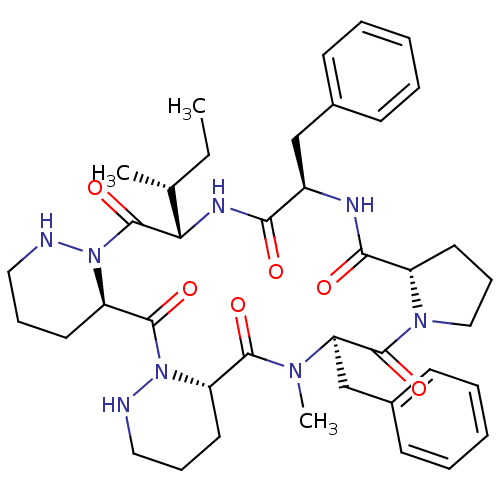 PNG