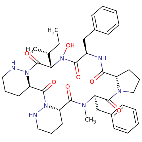 PNG