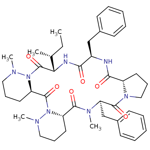 PNG