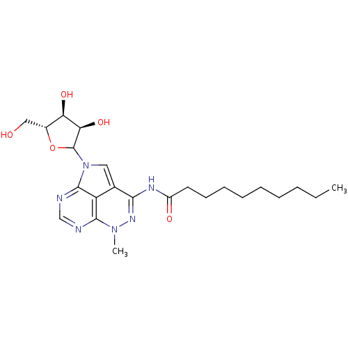 PNG
