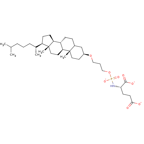 PNG