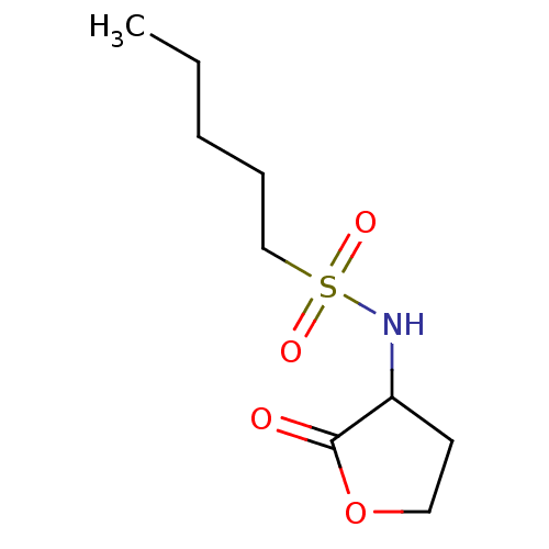 PNG