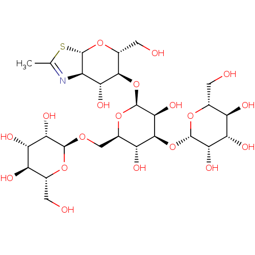 PNG