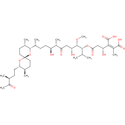 PNG