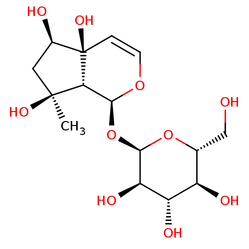 PNG