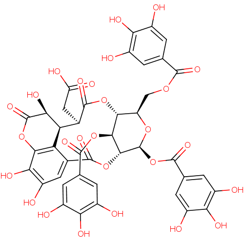 PNG