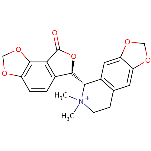 PNG