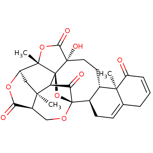 PNG