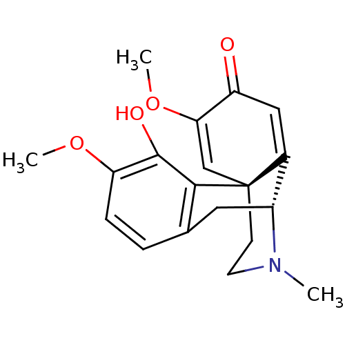 PNG