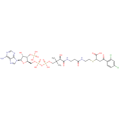 PNG