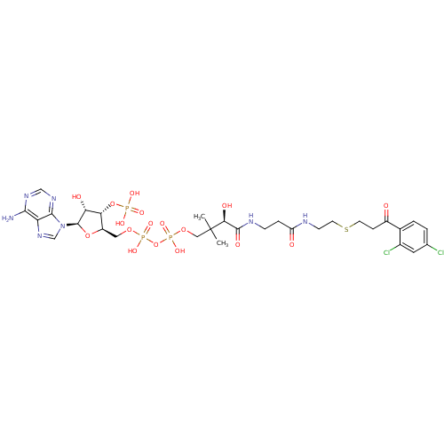 PNG