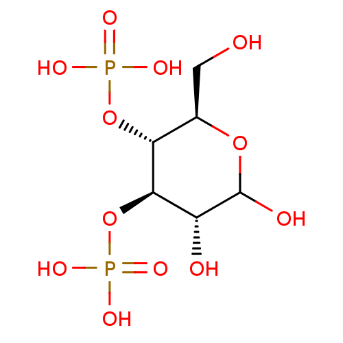 PNG