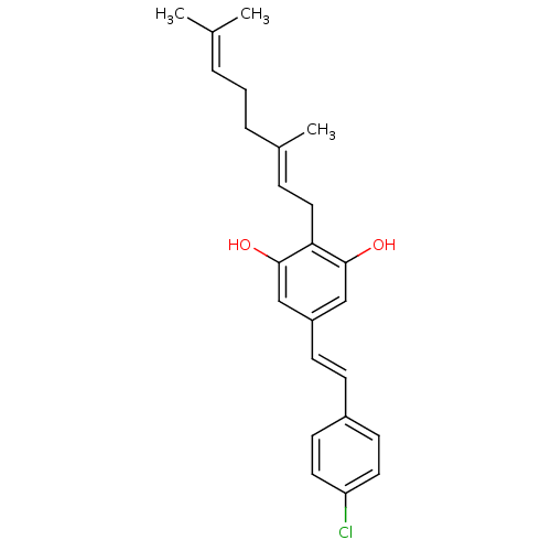 PNG