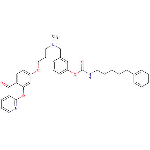 PNG