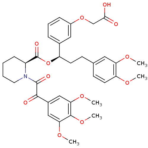 PNG