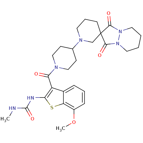 PNG