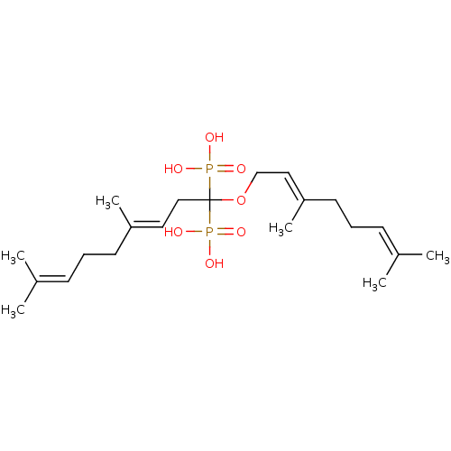 PNG