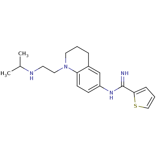 PNG