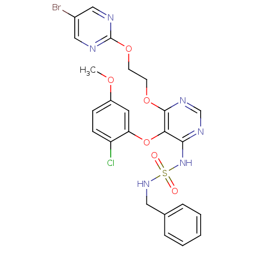 PNG