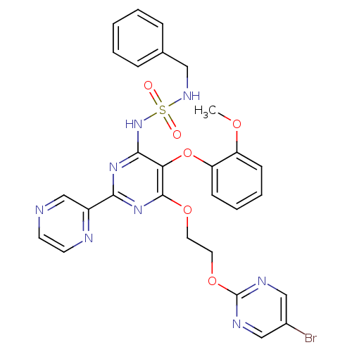 PNG
