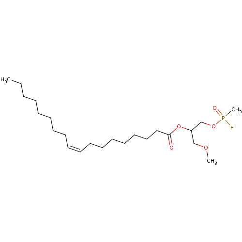 PNG