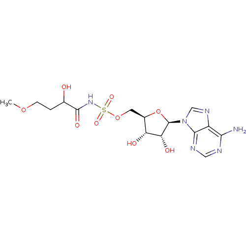 PNG