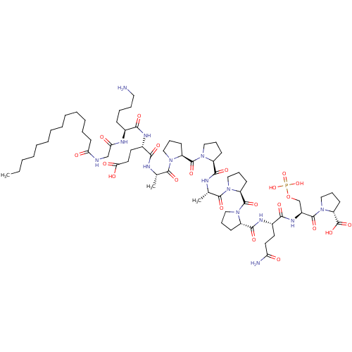 PNG