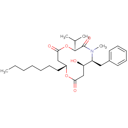 PNG