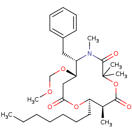 PNG