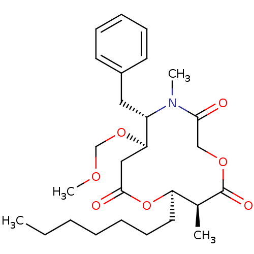 PNG
