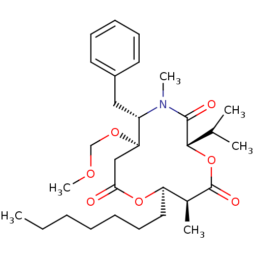 PNG