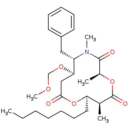 PNG