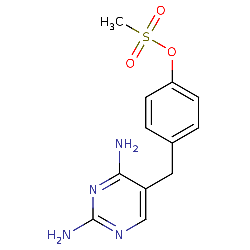 PNG