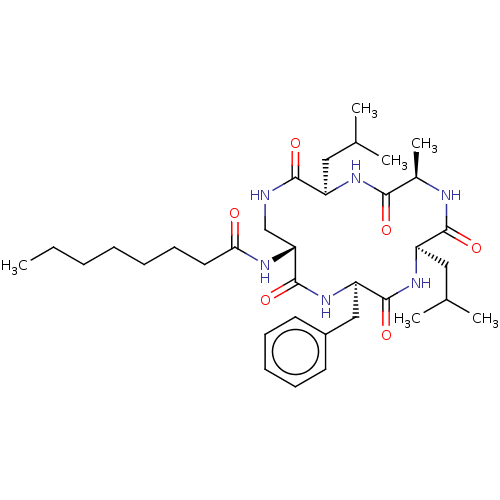 PNG
