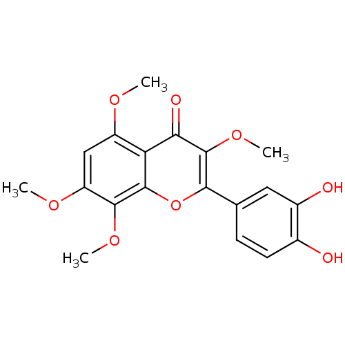 PNG