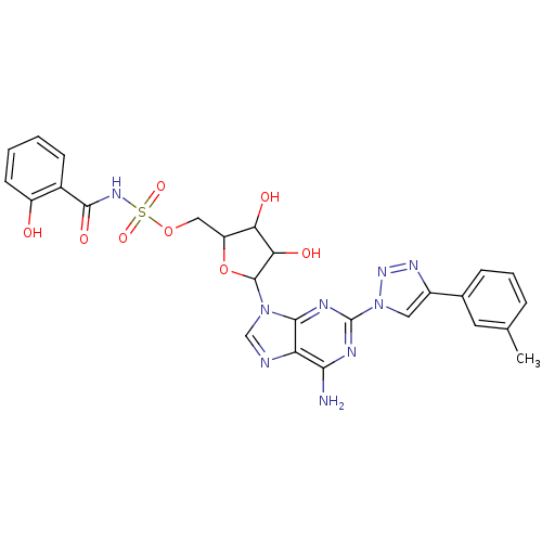 PNG