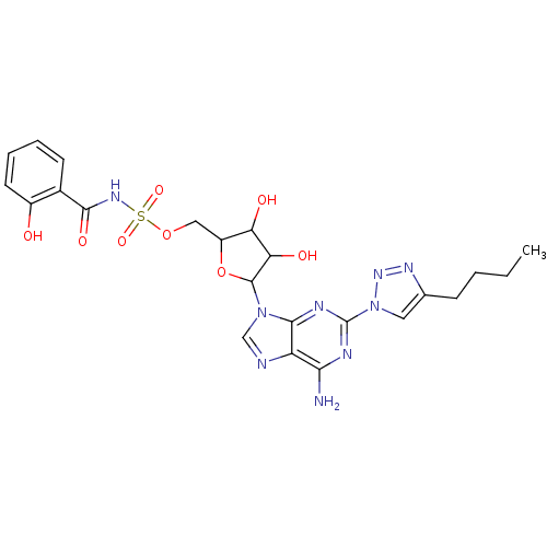 PNG