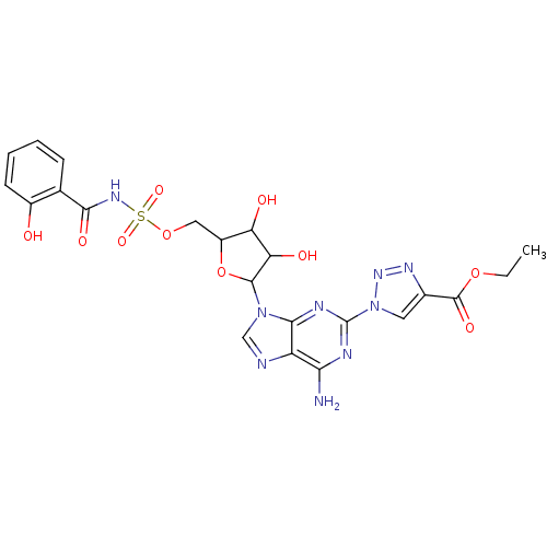 PNG