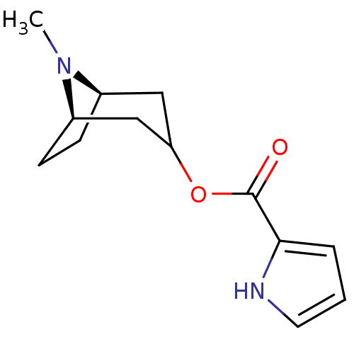 PNG