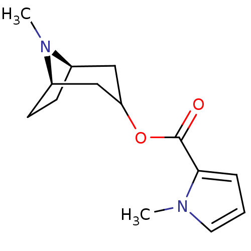 PNG