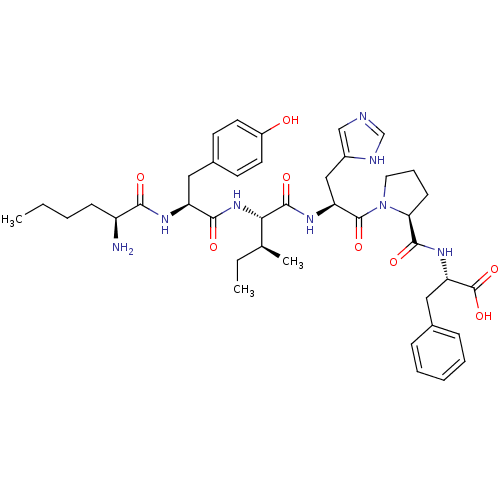 PNG