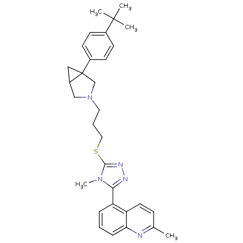 PNG