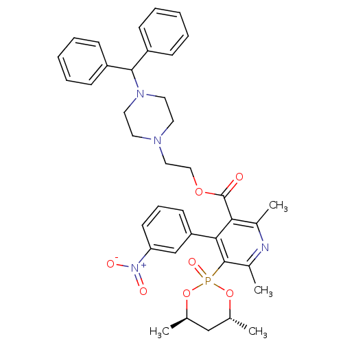 PNG