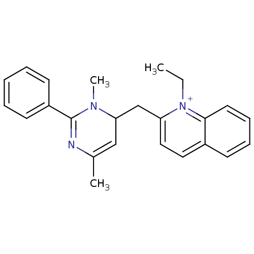 PNG
